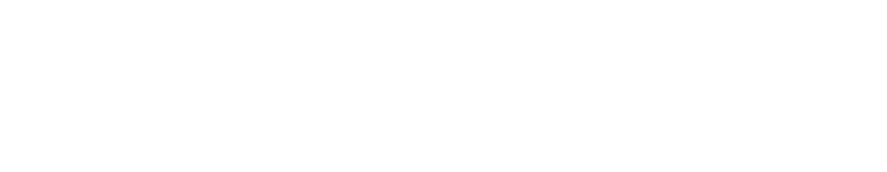 Vector 1 1