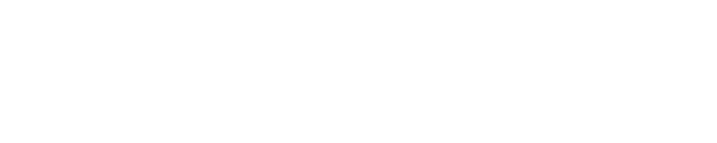 Vector 1 2